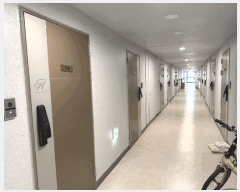  2025Ÿ��6086  ���ǽ��ڰ��