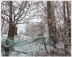  2025Ÿ��62347  ���ð��