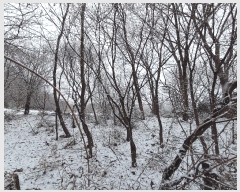  2025Ÿ��62347  ���ð��