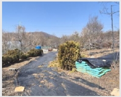  2025Ÿ��62347  ���ð��