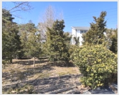  2025Ÿ��62347  ���ð��