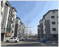  2025Ÿ��62431  �ټ���(����)���