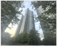  2025Ÿ��64263  ����Ʈ���