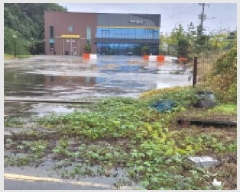  2025Ÿ��64310 ��� ���ֽ� ���ո� �ɻ긮 664      ������