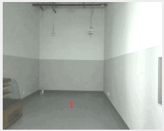  2025Ÿ��587 ��� �Ȼ�� �ܿ��� �ű浿 1229 ���彺��Ʈ���������Ļ������  1������-174ȣ   ����Ʈ��������