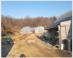  2025Ÿ��50868  �Ӿ߰��