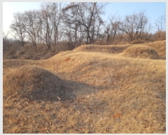  2025Ÿ��50868  �Ӿ߰��