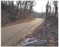  2025Ÿ��50868  �Ӿ߰��