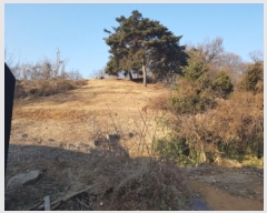  2025Ÿ��50868  �Ӿ߰��