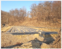  2025Ÿ��50868  �Ӿ߰��