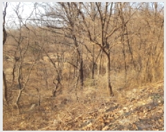  2025Ÿ��50868  �Ӿ߰��