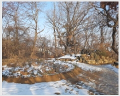  2025Ÿ51038   ߵ 46-8       (Ӿ)