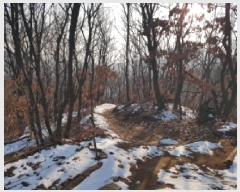  2025Ÿ51038   ߵ 46-8       (Ӿ)