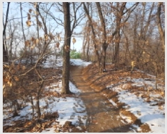  2025Ÿ51038   ߵ 46-8       (Ӿ)