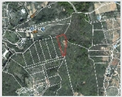  2025Ÿ51038   ߵ 46-8       (Ӿ)