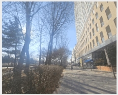  2025Ÿ��51519  ���ǽ��ڰ��