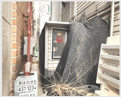  2025Ÿ��51653  �ٸ����ð��