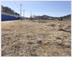  2025Ÿ��51692  ����