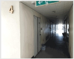  2025Ÿ��51755  ���ǽ��ڰ��