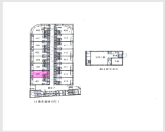  2025Ÿ��51755  ���ǽ��ڰ��