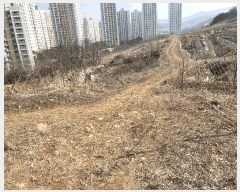  2025Ÿ��51796 ��� ����� ������ 430-26       ����(��1)���