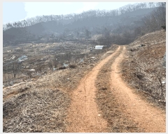  2025Ÿ��51796 ��� ����� ������ 430-26       ����(��1)���