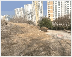  2025Ÿ��51796 ��� ����� ������ 430-26       ����(��1)���