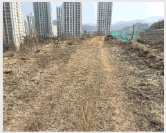  2025Ÿ��51796 ��� ����� ������ 430-26       ����(��1)���