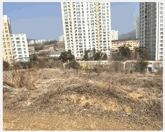  2025Ÿ��51796 ��� ����� ������ 430-26       ����(��1)���