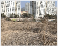  2025Ÿ��51796 ��� ����� ������ 430-26       ����(��1)���