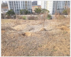  2025Ÿ��51796 ��� ����� ������ 430-26       ����(��1)���