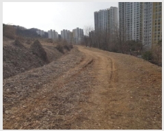  2025Ÿ��51796 ��� ����� ������ 430-26       ����(��1)���