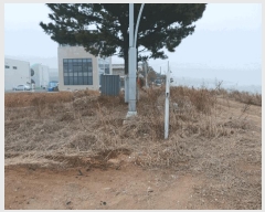  2025Ÿ��51823  â���������