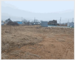  2025Ÿ��51823  �����