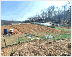  2025Ÿ��51981 ��� �Ȼ�� ��ϱ� ���ǵ� 243-2      ����(��1)���