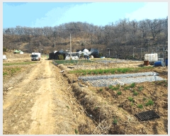  2025Ÿ��51981 ��� �Ȼ�� ��ϱ� ���ǵ� 243-2      ����(��1)���