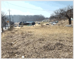  2025Ÿ��51981 ��� �Ȼ�� ��ϱ� ���ǵ� 243-2      ����(��1)���