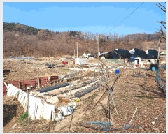  2025Ÿ��51981 ��� �Ȼ�� ��ϱ� ���ǵ� 243-2      ����(��1)���