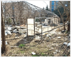  2025Ÿ��51981 ��� �Ȼ�� ��ϱ� ���ǵ� 243-2      ����(��1)���