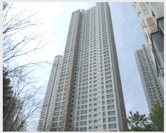  2025Ÿ��52025  ����Ʈ���