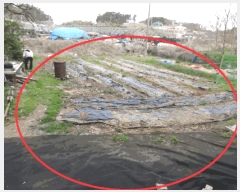  2025Ÿ��52139  �����