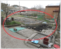  2025Ÿ��52139  �����