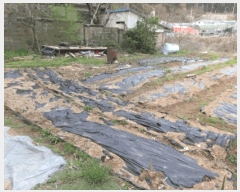  2025Ÿ��52139  �����