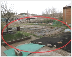  2025Ÿ��52139  �����