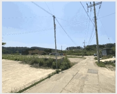  2025Ÿ��52290  ����