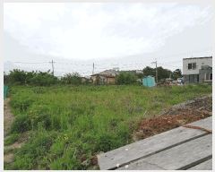  2025Ÿ��52416 ��� �Ȼ�� �ܿ��� ��γ��� 7-296      ��Ÿ�������