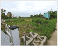  2025Ÿ��52416 ��� �Ȼ�� �ܿ��� ��γ��� 7-296      ��Ÿ�������