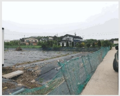  2025Ÿ��52416 ��� �Ȼ�� �ܿ��� ��γ��� 7-296      ��Ÿ�������