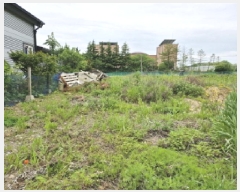  2025Ÿ��52416 ��� �Ȼ�� �ܿ��� ��γ��� 7-296      ��Ÿ�������