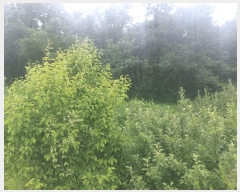  2025Ÿ��52532  �ٸ��ü����